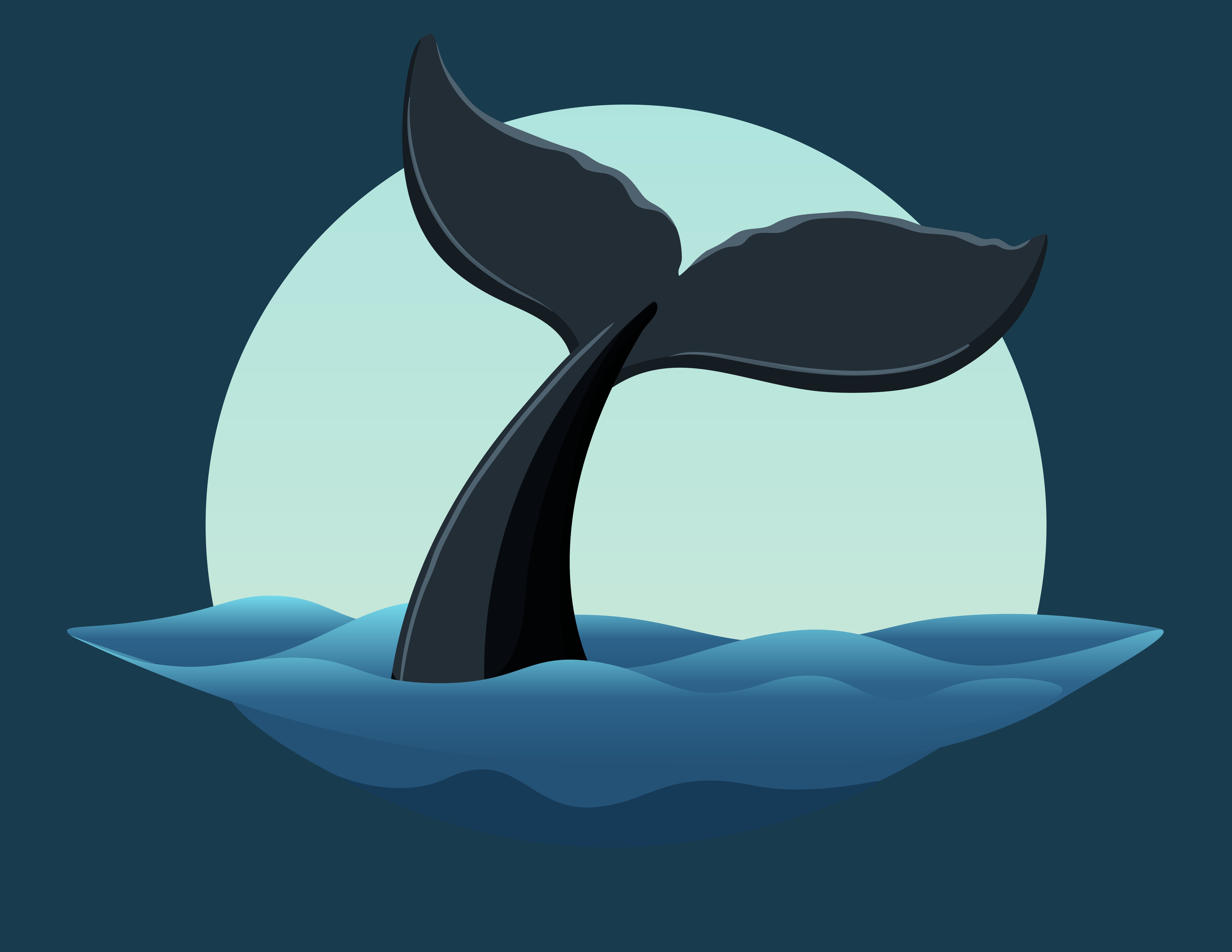 Illustrative example of the tail of a whale.