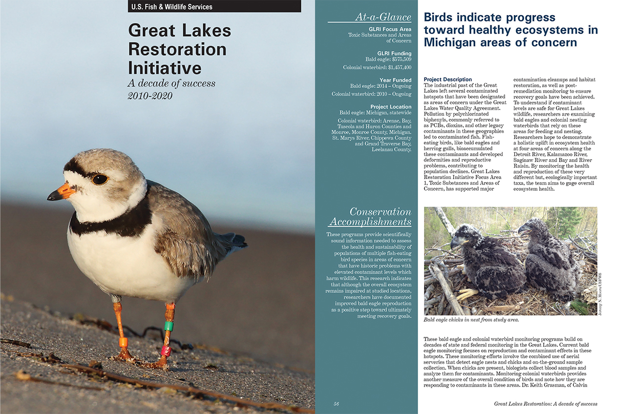 U.S. Fish and Wildlife Service Great Lakes Restoration Initiative Outreach Publication